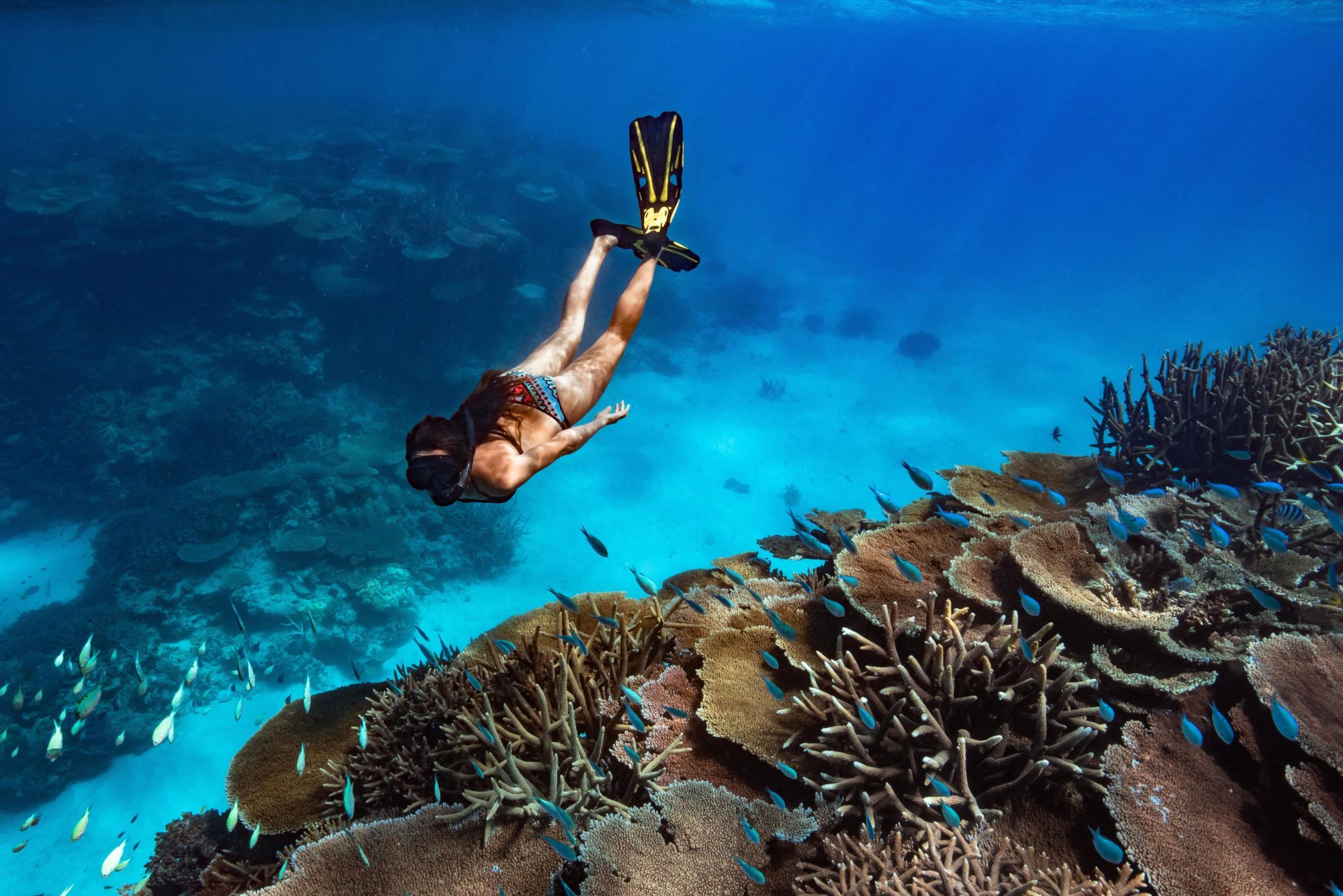 luxury all-inclusive packages great barrier reef