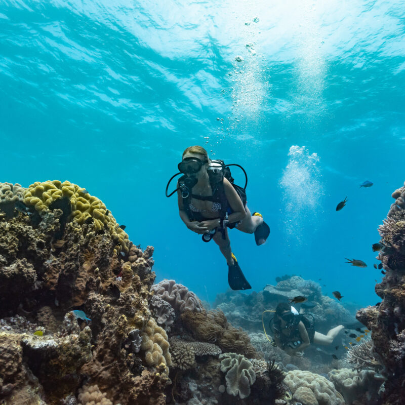 Diving at Orpheus Island
